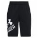 Under Armour Prototype 2.0 Logo Shorts (1361817 001)