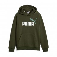 Puma ESS+ 2 Col Big Logo Hoodie FL (586987 77)